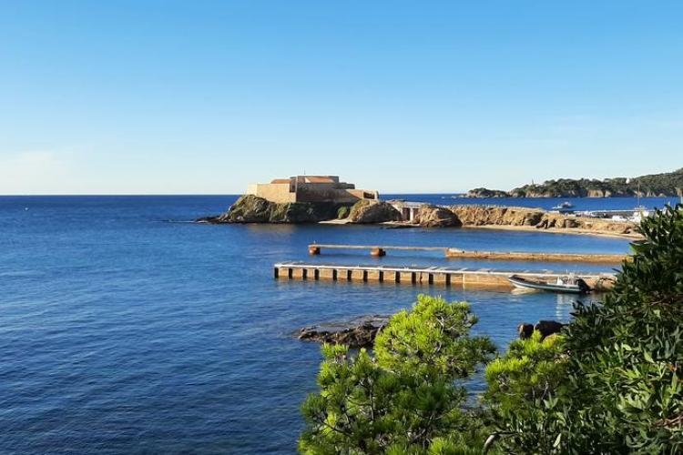 Graines de pirates &agrave; Giens : plantes pirates et tr&eacute;sors naturels_Hy&egrave;res