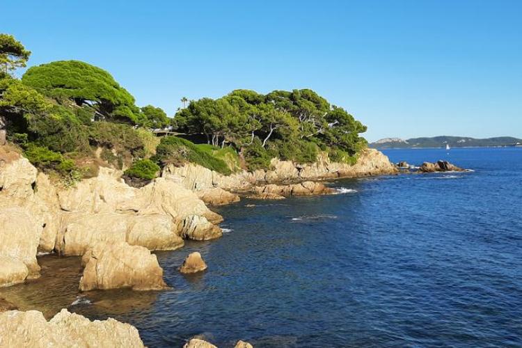 Graines de pirates &agrave; Giens : plantes pirates et tr&eacute;sors naturels_Hy&egrave;res