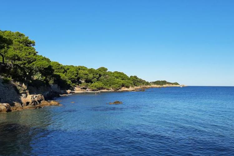 Graines de pirates &agrave; Giens : plantes pirates et tr&eacute;sors naturels_Hy&egrave;res