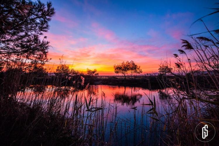 Expositions- Vieux Salins d'Hy&egrave;res_Hy&egrave;res
