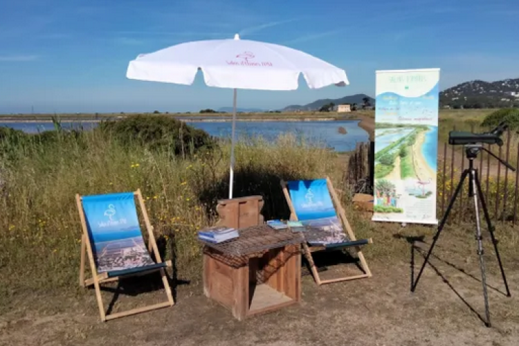 Journ&eacute;e mondiale de la biodiversit&eacute;_Hy&egrave;res