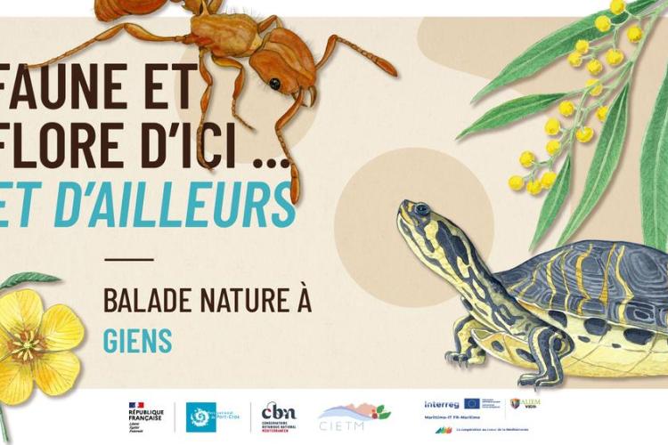 Balade nature à Giens - Faune et flore d'ici... et d'ailleurs_Hyères