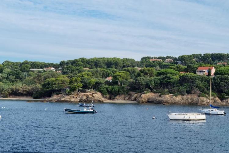 Balade nature à Porquerolles - Faune et flore d'ici... et d'ailleurs_Hyères