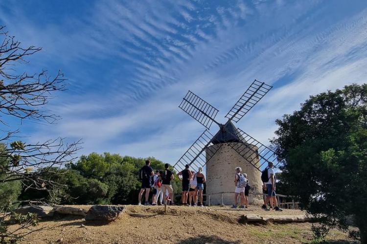 Balade nature à Porquerolles - Faune et flore d'ici... et d'ailleurs_Hyères