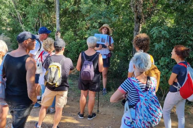 Balade nature à Porquerolles - Faune et flore d'ici... et d'ailleurs_Hyères