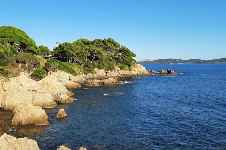 Balade nature à Porquerolles - Faune et flore d'ici... et d'ailleurs_Hyères