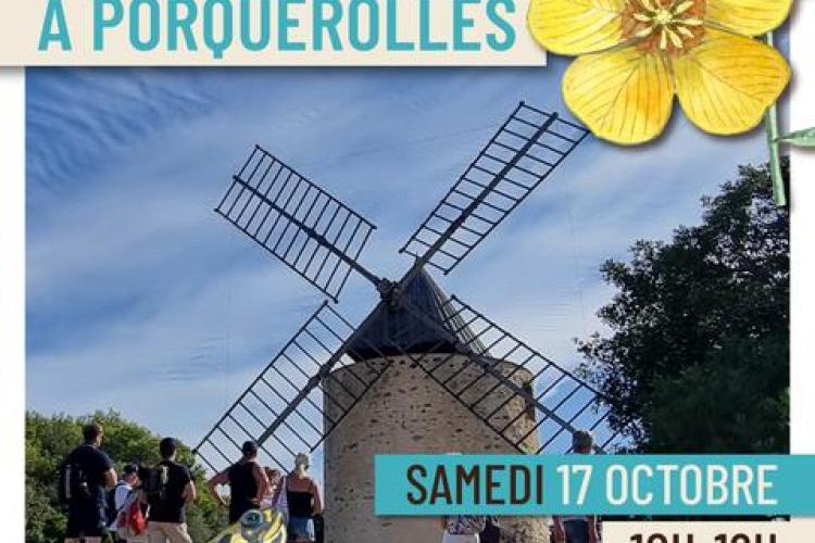 Affiche Balade nature à Porquerolles - Balade nature à Porquerolles - Faune et flore d'ici... et d'ailleurs_Hyères