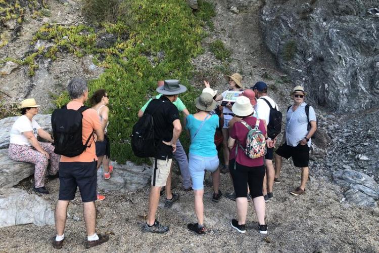 Balade et atelier peinture au Pradet - Faune et flore d'ici... et d'ailleurs_Le Pradet