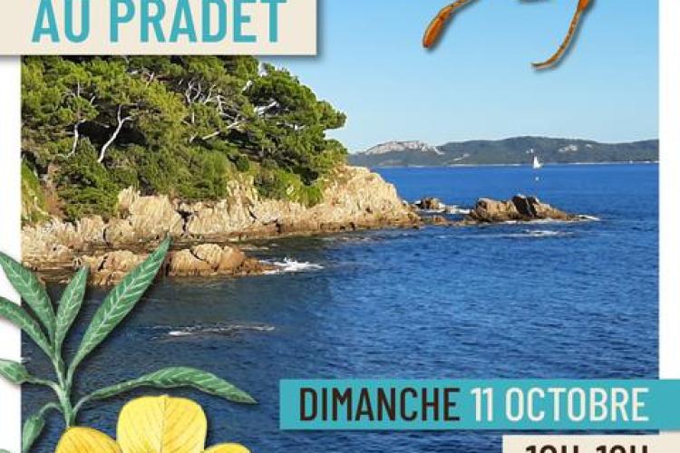 Affiche Balade nature au Pradet - Balade et atelier peinture au Pradet - Faune et flore d'ici... et d'ailleurs_Le Pradet