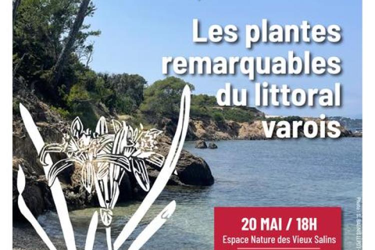 Conférence - Les plantes remarquables du littoral varois_Hyères
