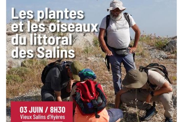 Balade nature - Les plantes et les oiseaux du littoral des Salins_Hyères