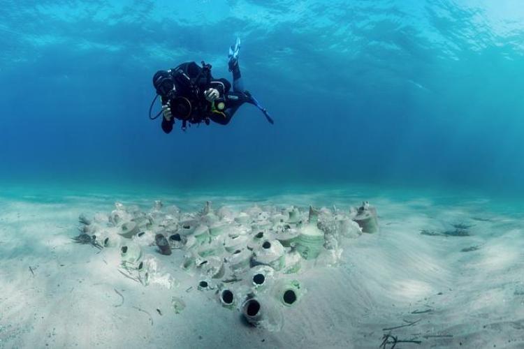 Écran nature : Sous la surface - les trésors vivants de Porquerolles_Hyères