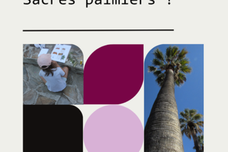 Patrim&ocirc;mes : Sacr&eacute;s palmiers_Hy&egrave;res