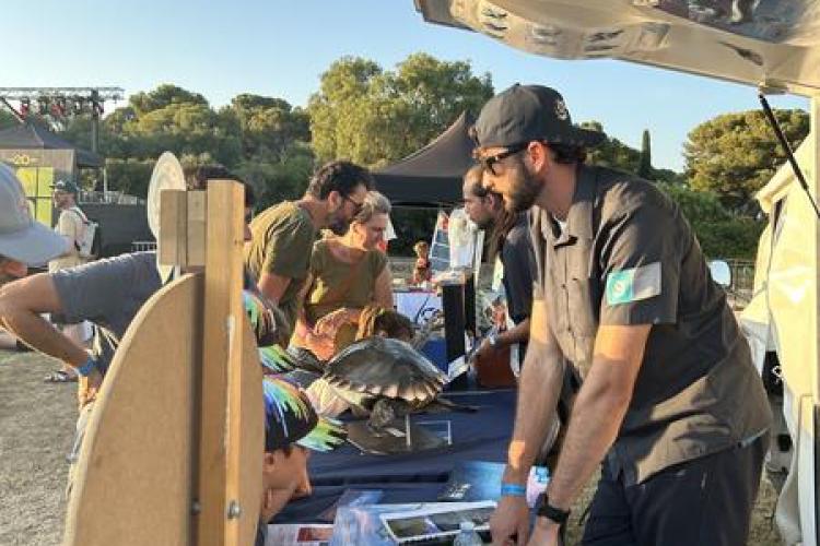 MIDI Festival : les animations écoguides_Hyères