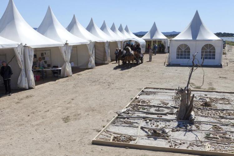 La fête du sel 2026 à La Capte (salins des Pesquiers)_Hyères