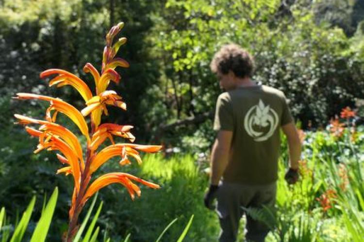 Visite thématique "La visite du jardinier"_Rayol-Canadel Sur Mer - Visite thématique "La visite du jardinier"_Rayol-Canadel Sur Mer