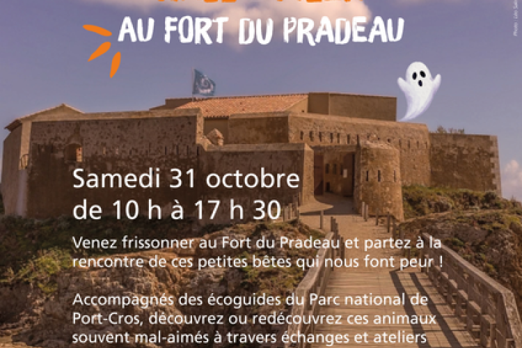 Affiche Halloween au Fort du Pradeau - Affiche pour Halloween