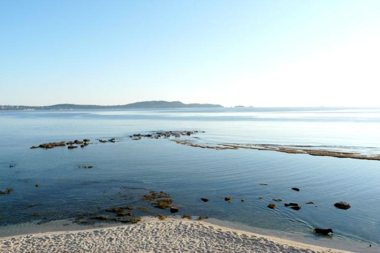 Vestiges immérgés de l'Almanarre - vue du site