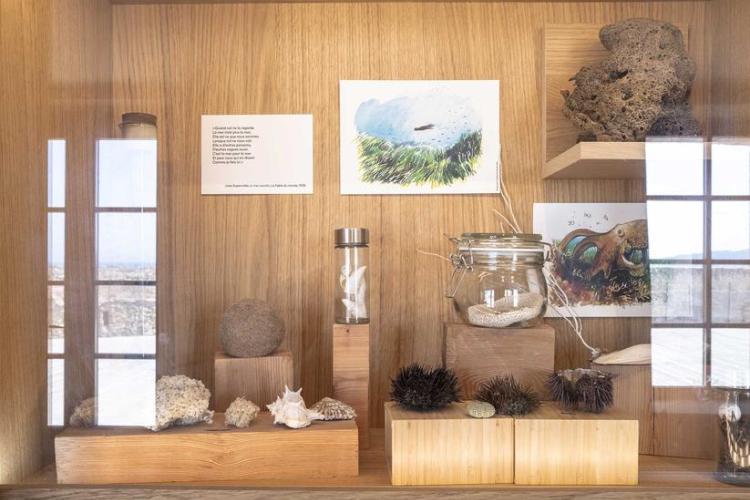 Fort du Pradeau (ou Tour Fondue)_Hyères - Cabinet de curiosités