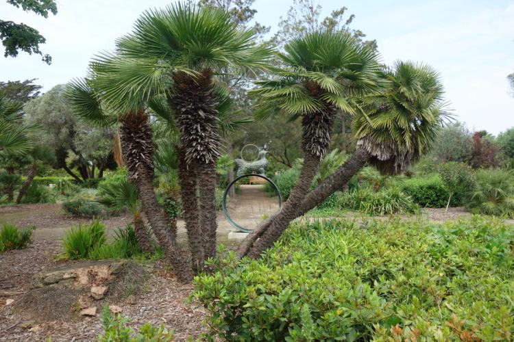 Jardin Emmanuel Lopez Porquerolles