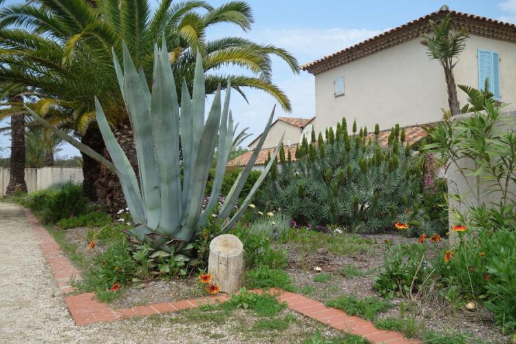 Jardin Emmanuel Lopez Porquerolles