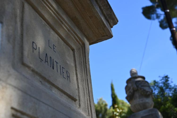 Le plantier de Costebelle - jardin remarquable - Le plantier de Costebelle - jardin remarquable