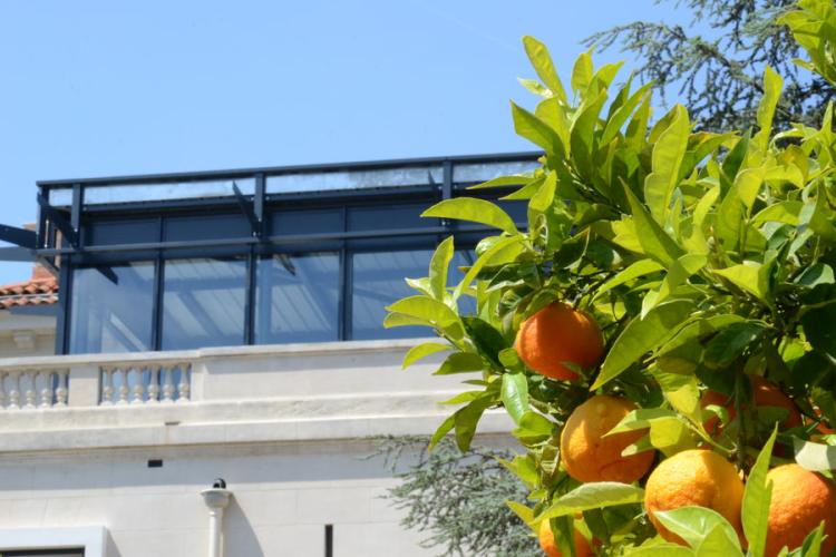 Musée des Cultures et du Paysage de Hyères - La Banque - Hyères : le 1er étage