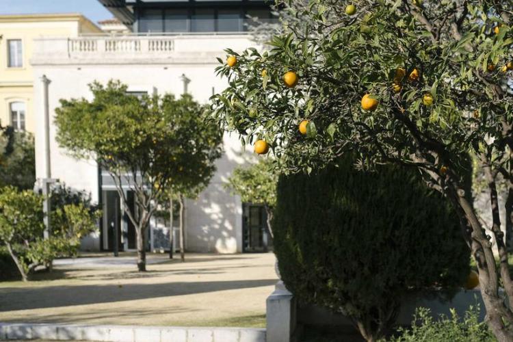 La Banque - Musée des Cultures et du Paysage d'Hyères_Hyères - Les orangers du jardin