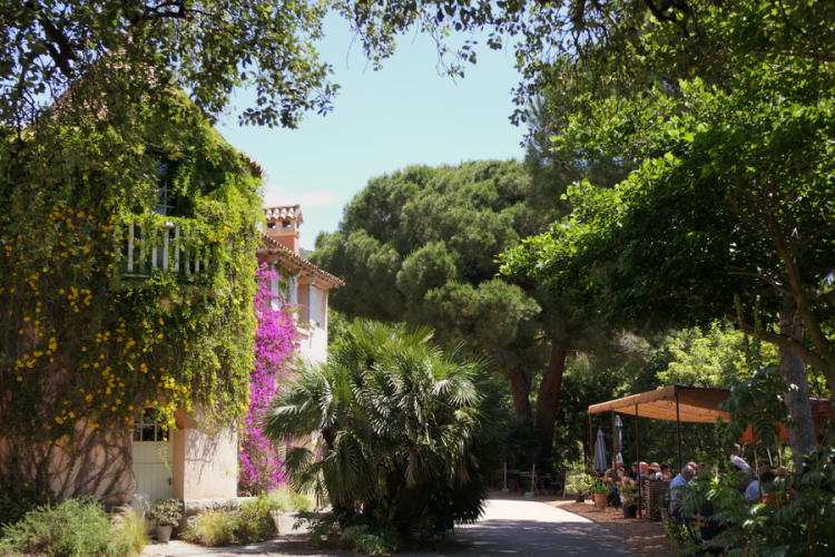 Le Café des Jardiniers - Le Café des Jardiniers