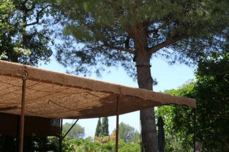 Le Café des Jardiniers - Le Café des Jardiniers