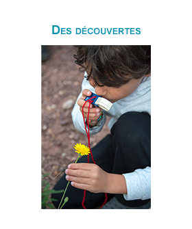 enfant qui regarde une fleur à la loupe
