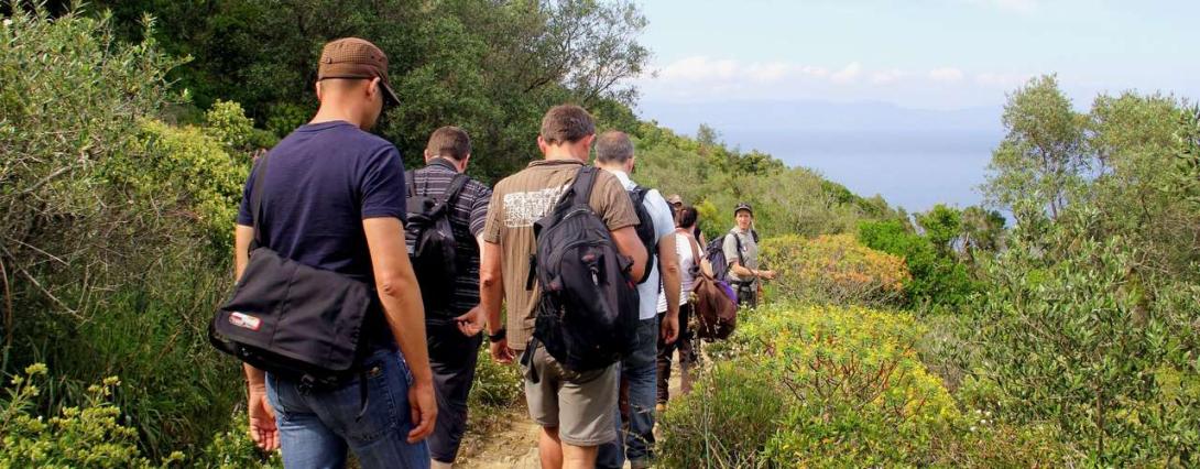 le-parc-national-de-port-cros-fete-la-nature-du-17-au-23-mai-2017_format_1280x500.jpg